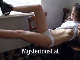 MysteriousCat