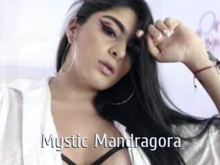 Mystic_Mandragora