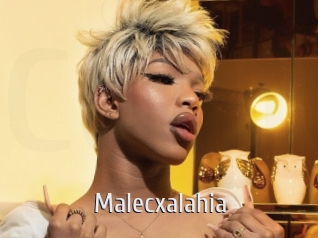 malecxalahia Cigare à moustache