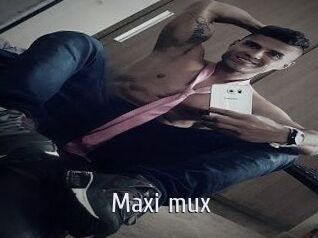 Maxi_mux