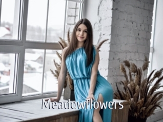 Meadowflowers