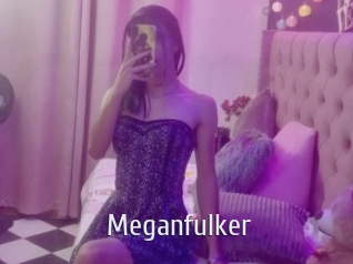 Meganfulker