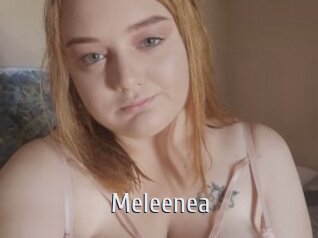 meleenea Cigare à moustache