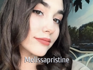 melissapristine Cigare à moustache