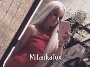 milankafox Cigare à moustache