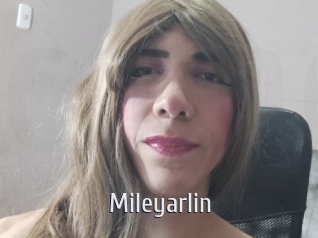 mileyarlin Cigare à moustache