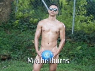 Mitchellburns