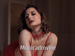 monicadrovine Cigare à moustache