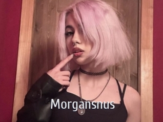 morgansnus Cigare à moustache