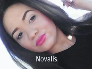Novalis Cigare à moustache