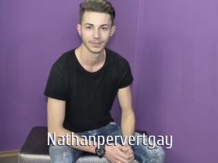Nathanpervertgay