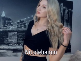 nicolehamm Cigare à moustache