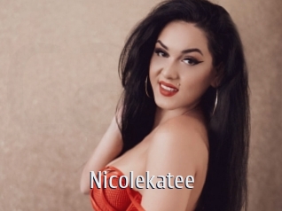 nicolekatee Cigare à moustache