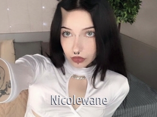 nicolewane Cigare à moustache
