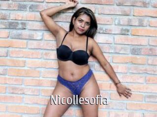 nicollesofia Cigare à moustache