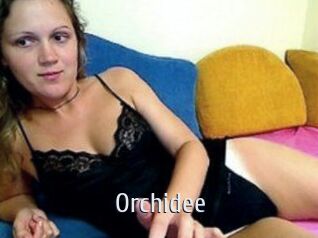 Orchidee