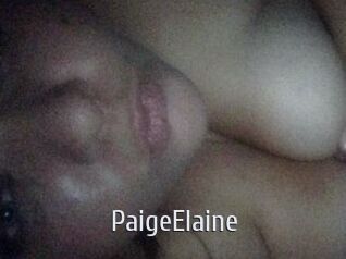 PaigeElaine Cigare à moustache