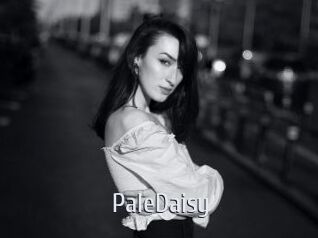 PaleDaisy Cigare à moustache