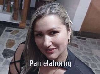 Pamelahorny