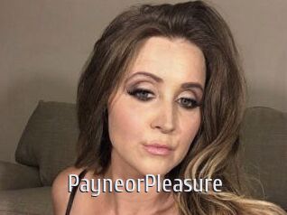 PayneorPleasure Cigare à moustache