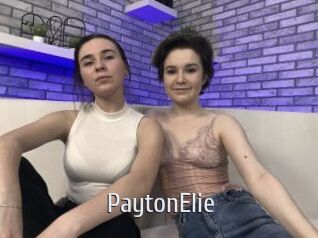 PaytonElie Cigare à moustache