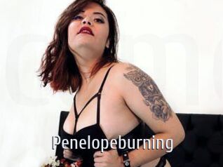 Penelopeburning Cigare à moustache