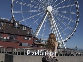 PixelGinger