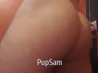 PupSam Cigare à moustache