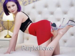 Purplefllower