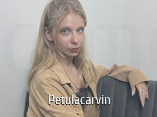petulacarvin Cigare à moustache