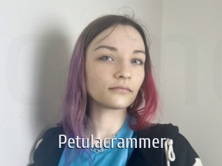 petulacrammer Cigare à moustache
