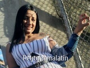 Peytonumalatin