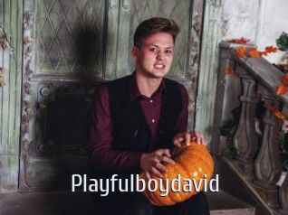 Playfulboydavid