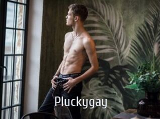 Pluckygay