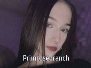 Primrosebranch