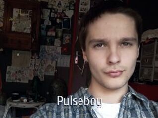 Pulseboy