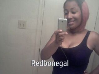 Redbonegal