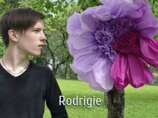 Rodrigie