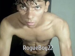 RogueBoy22