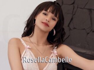 RosellaCambelle Cigare à moustache