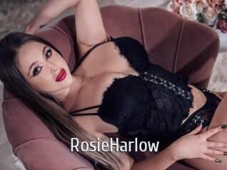 RosieHarlow Cigare à moustache