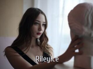 rileyice Cigare à moustache