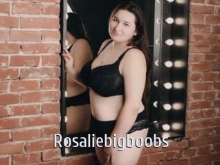 Rosaliebigboobs