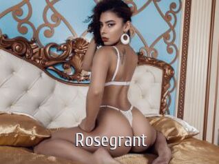 rosegrant Cigare à moustache