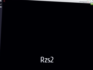Rzs2