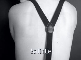 SaTinEe Cigare à moustache