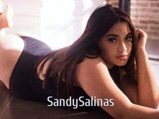 SandySalinas