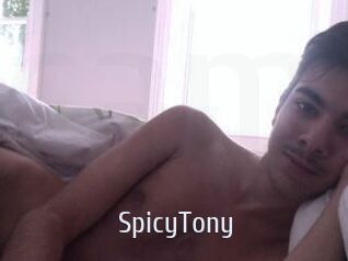 SpicyTony Cigare à moustache