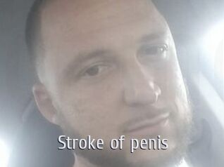 Stroke_of_penis