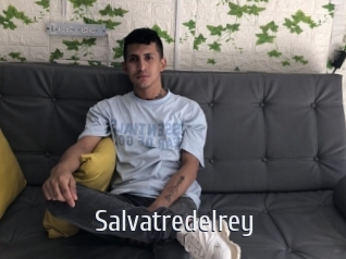Salvatredelrey